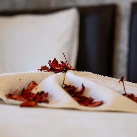 Ikarushotel Hotel Aydin