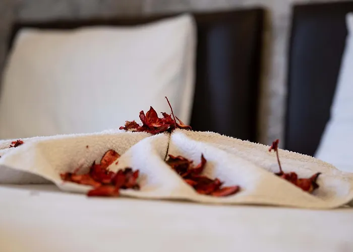 Ikarushotel Hotel Aydin